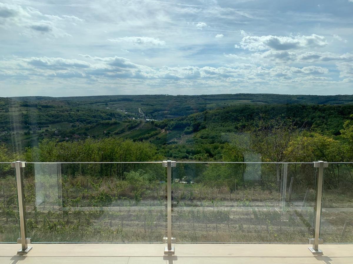 Sxrd Luxus Apartmanok Szekszárd Buitenkant foto